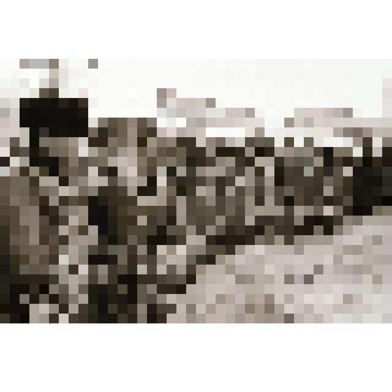 Фотонегатив  сюжетный. Жители с. Нижнетамбовское  встречают отряд "Комсомолец Приамурья"