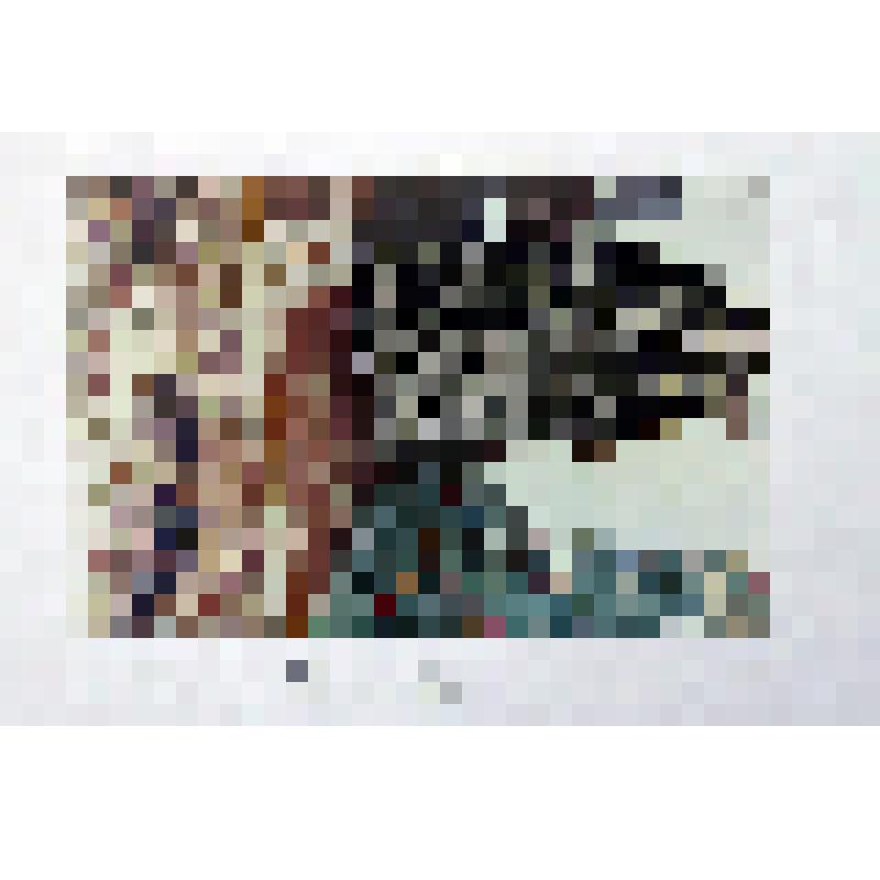 Фотография цветная. Фотография