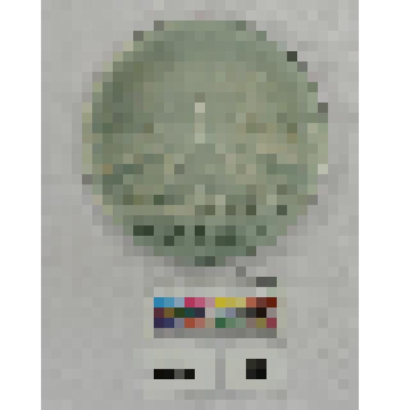 СССР. Медаль сувенирная. Пискаревский мемориальный ансамбль в Ленинграде