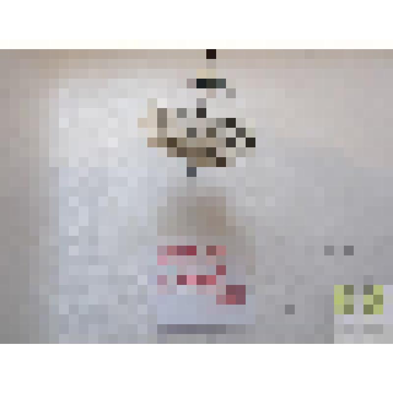 Бегунчик широкогрудый (Bembidion laticolle Duft.)