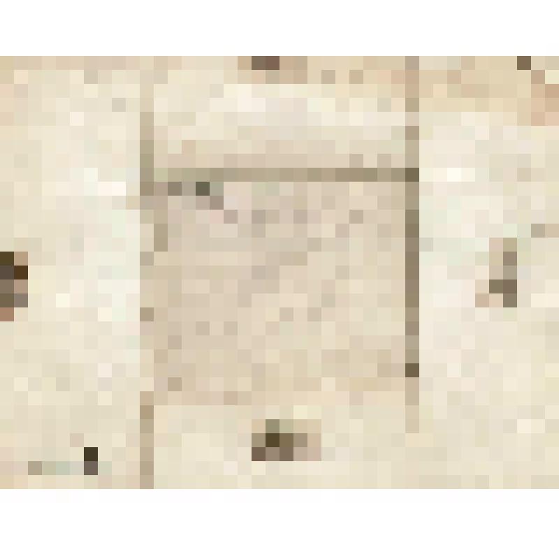 Телеграмма № 108 в г. Ирбит В. Н.Алину от Саитбатталова из г. Мензелинска, 1889 г