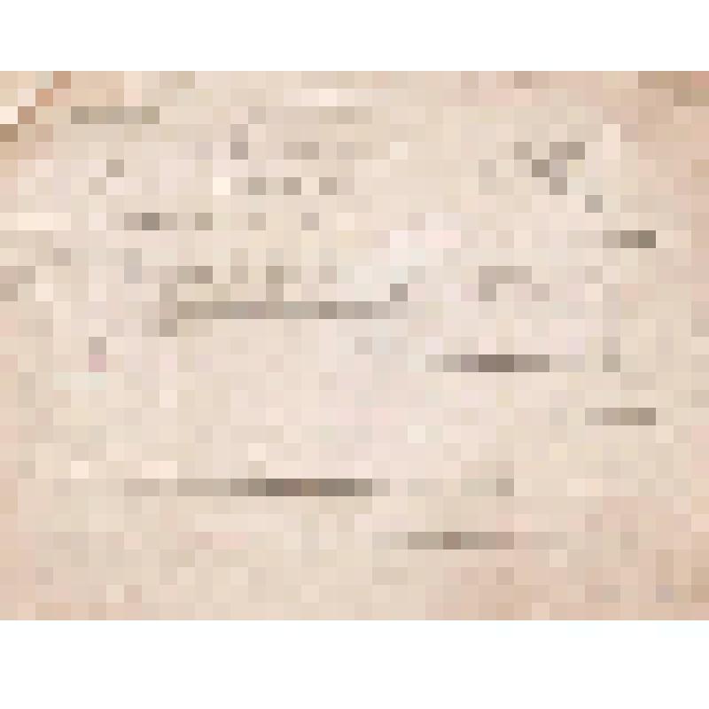 Телеграмма № 108 в г. Ирбит В. Н.Алину от Саитбатталова из г. Мензелинска, 1889 г