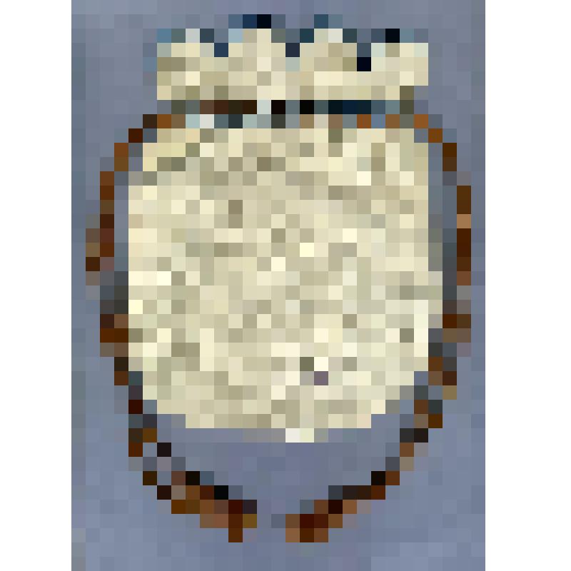Сумочка дамская