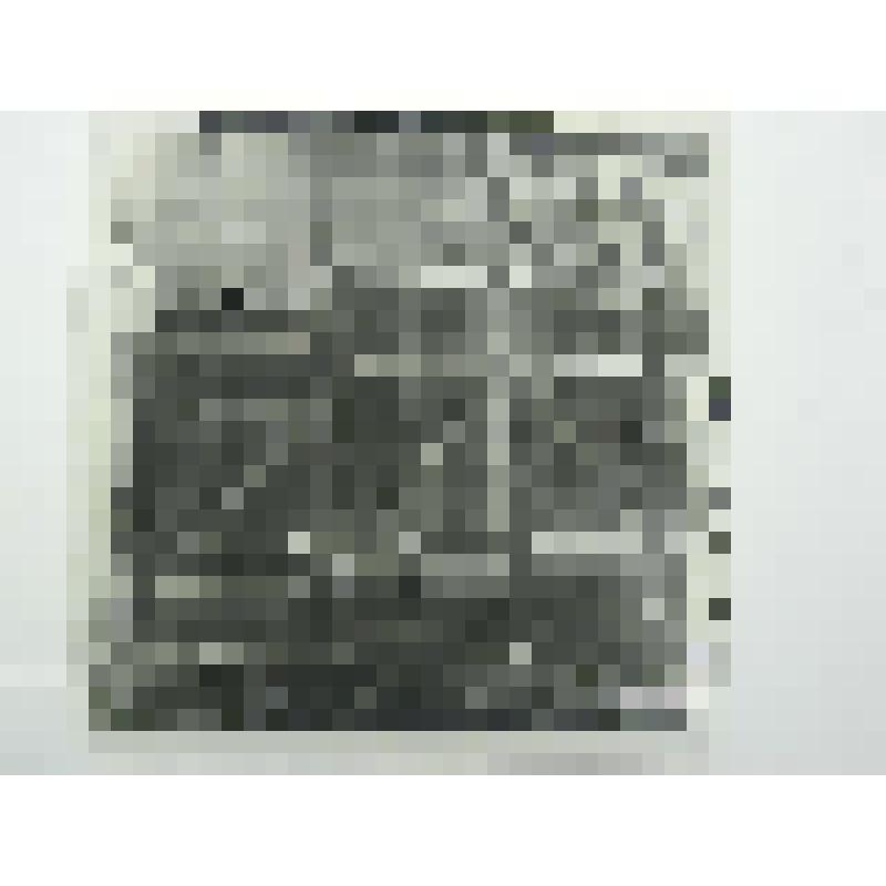 Дом регента церкви. Ул. Свободы, 26. 1912 г. Челябинская  обл., Кусинский р-н, г. Куса. Дом регента церкви. Ул. Свободы, 26. 1912 г. Ворота. Вид со стороны двора