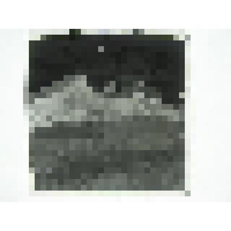 Дом Беспаловых. Ул. Дзержинского, 39. сер. XIX в. Челябинская  обл., г. Карабаш, пос. Южный (с.Саймоновское). Дом Беспаловых. Ул. Дзержинского, 39. сер. XIX в. Ворота по улице Дзержинского. Конструкция крепления створки ворот