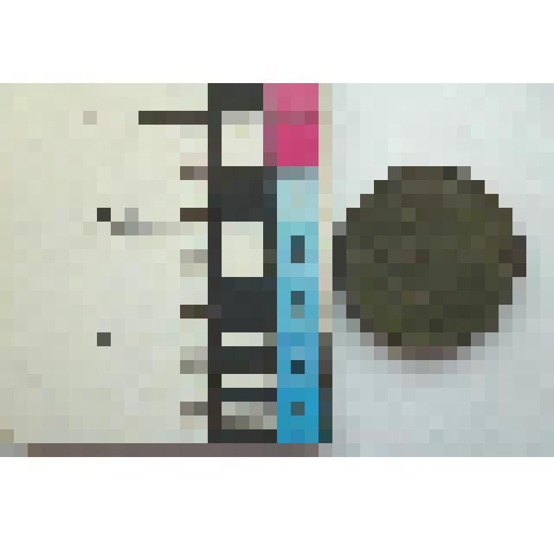 Монета денежка