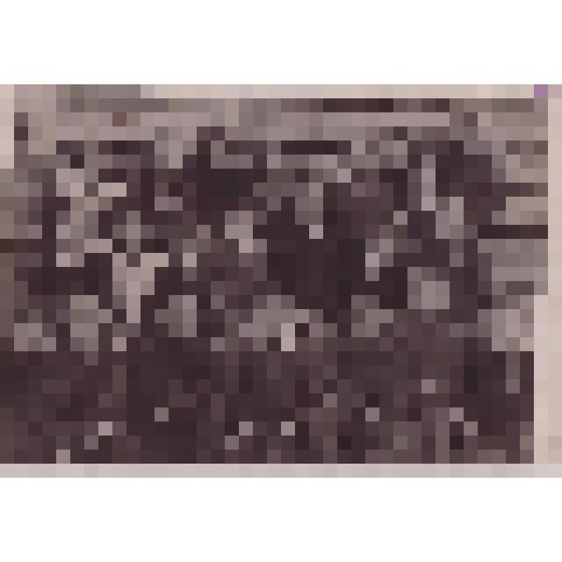 Фотография черно-белая. Класс Рыбак (Семеновой) Раисы Андреевны - учительницы.  Из архива Р. А. Рыбак