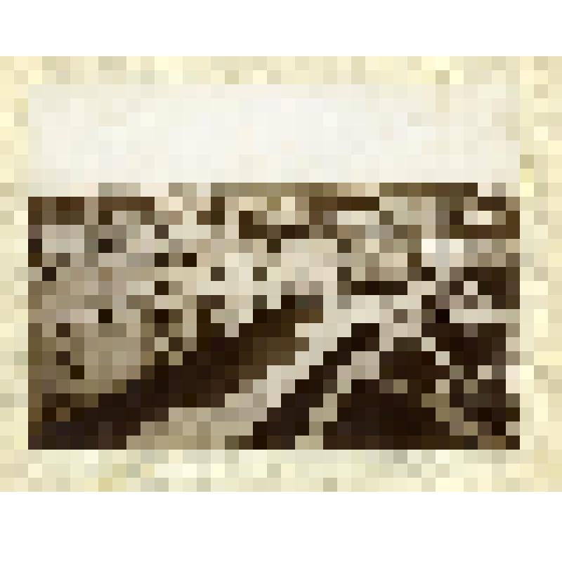 Фотография. Н.Новгород. Верхняя Благовещенская площадь