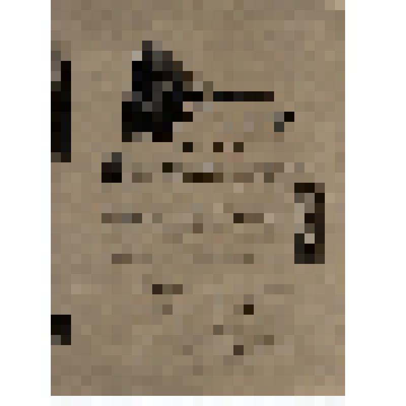 Акт о передаче Туркестано-Сибирской ж/д магистрали в постоянную эксплуатацию (документ выполнен фотоспособом)