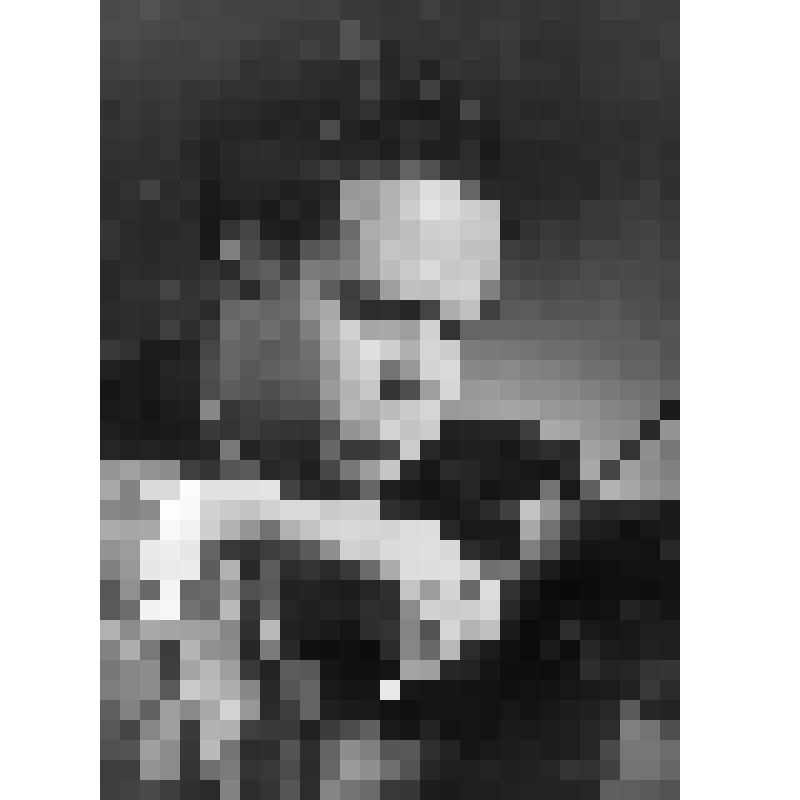 Негатив. Франчини У.Л. - американский скрипач