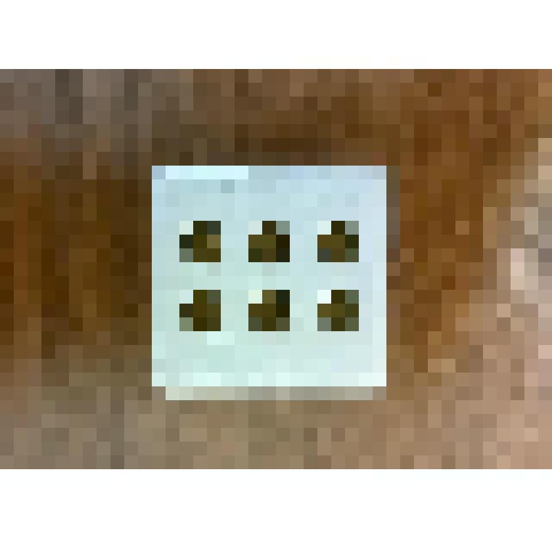 Прибор из керамики белого цвета -модель для обучения чтения по Брайлю, принадлежал Саранчину К