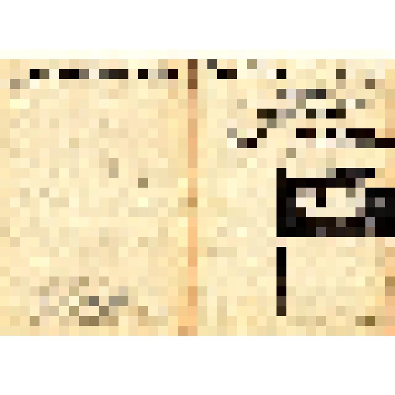 Учетная карта-паспорт элемента исторической застройки к историко-архитектурному опорному плану и проекту зон охраны. РСФСР, Тульская область, г. Тула, Пролетарский р-н, квартал №6, ул.Плеханова, д.16