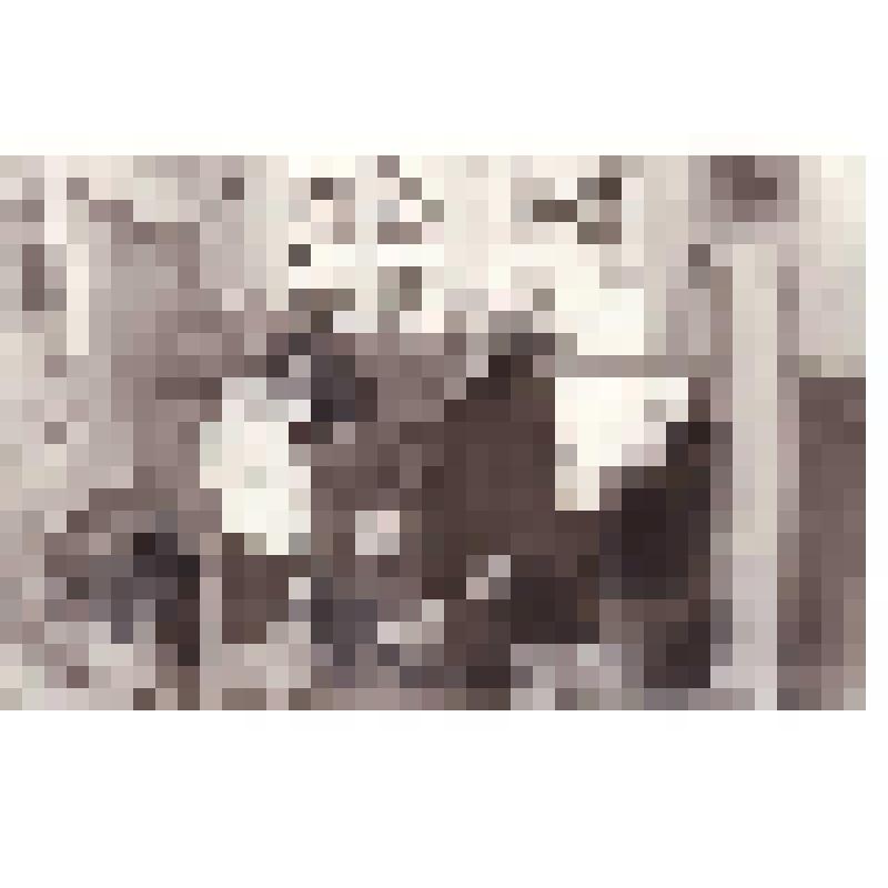 Фотография. Выборы в сельском клубе. п. Русскинские