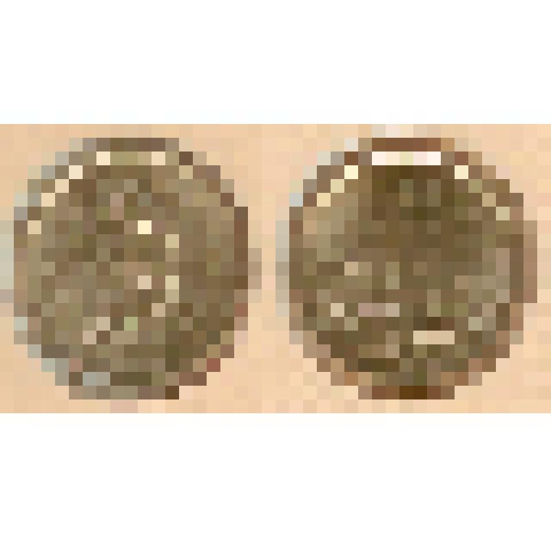 Монета. 1 копейка. Из альбома «ГУ Банка России по Саратовской области»