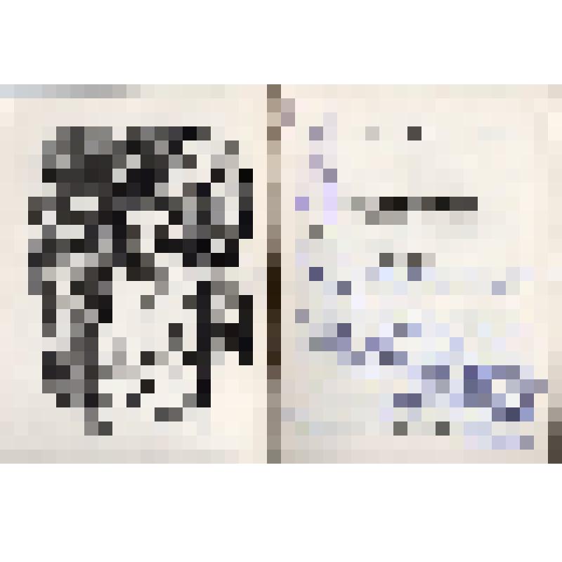 Книга. В.Д.Дончик «Звездный дождь над полем боя».
СССР, Минск, изд-во «Беларусь», 1981 г., 93 с