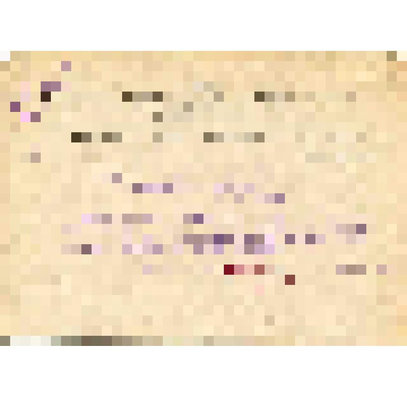 Письмо №115 из ГИМ заведующему Государственным музеем "Александровская Слобода" тов. Яковлеву Н.А. о необходимости предоставлять Ивановскому ОБЛОНО сведения о деятельности филиала