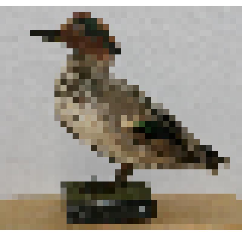 Чирок-свистунок. Чучело