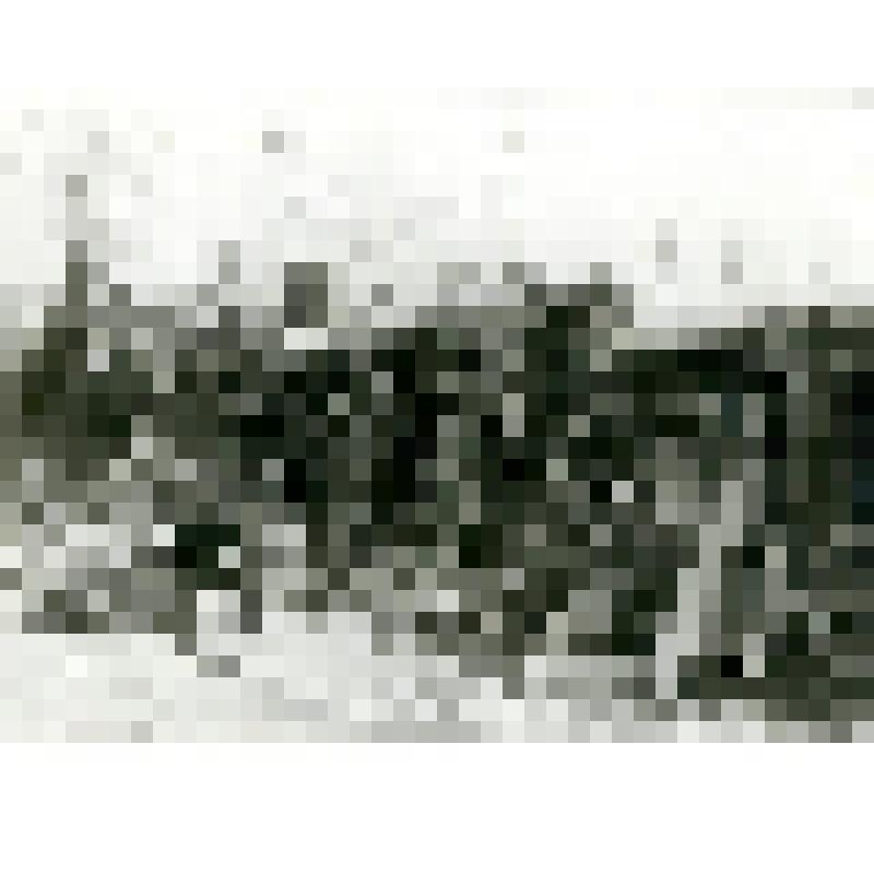 Фотография. Тунгусский дом, оз. Сэнгнэкэ