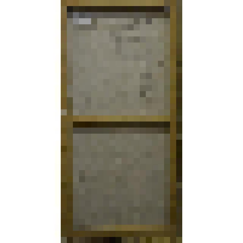 «Портрет Раисы Гущул». Картина