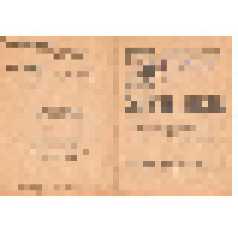 Программа спектакля "Коварство и любовь" Ф. Шиллера Государственного  Русского драматического театра