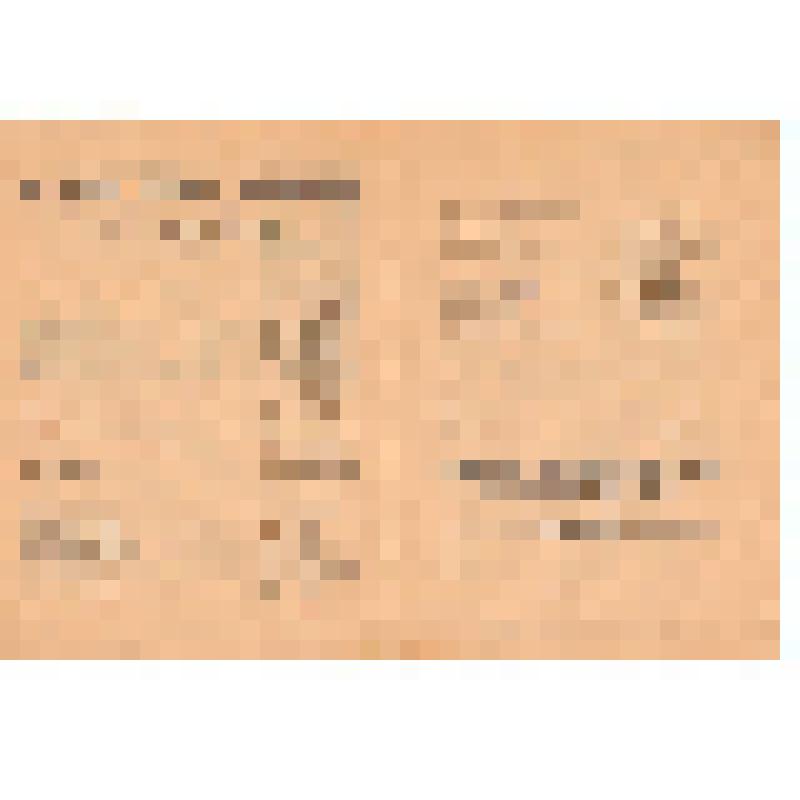 Программа спектакля "Коварство и любовь" Ф. Шиллера Государственного  Русского драматического театра