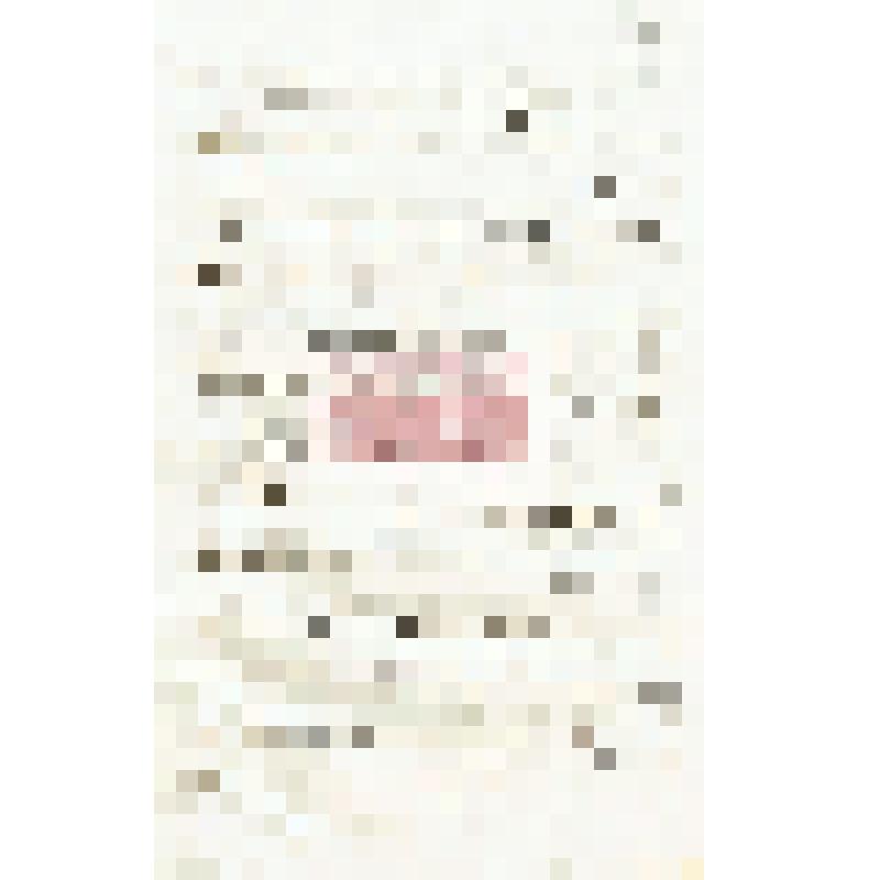 Письмо А. А. Макаренко Мартьянову с сообщением о разрушении Книсеем старого кладбища с. Казачинского во время половодья