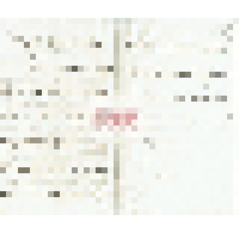 Письмо А. А. Макаренко Мартьянову с сообщением о разрушении Книсеем старого кладбища с. Казачинского во время половодья