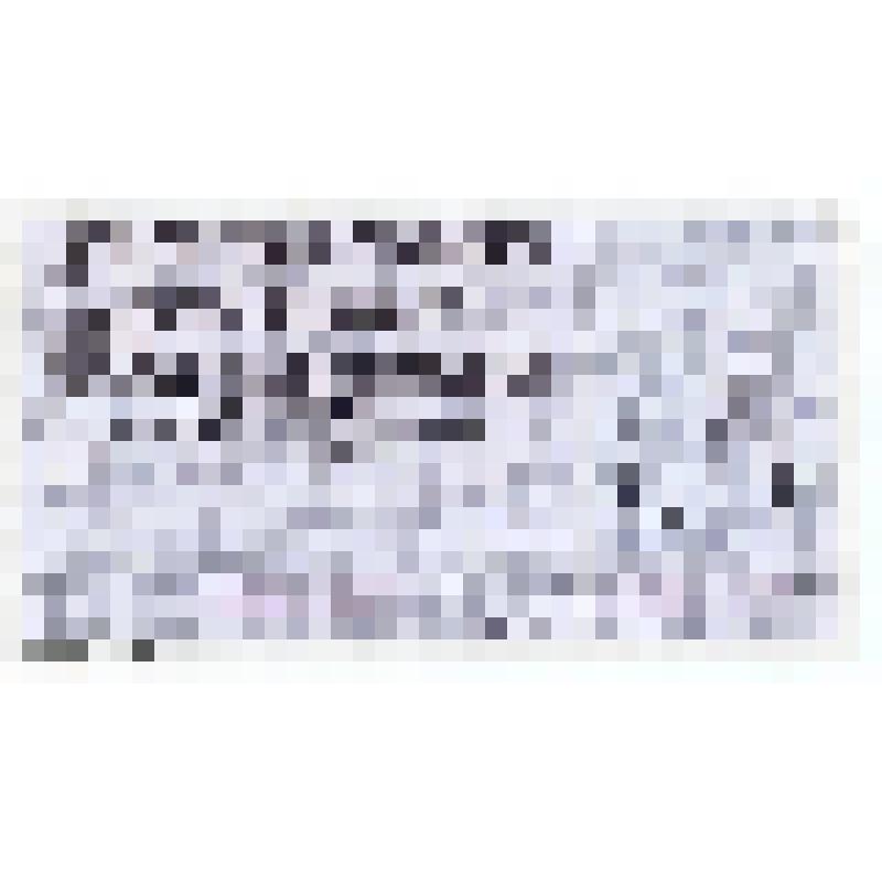 Билет всесоюзной художественной лотереи