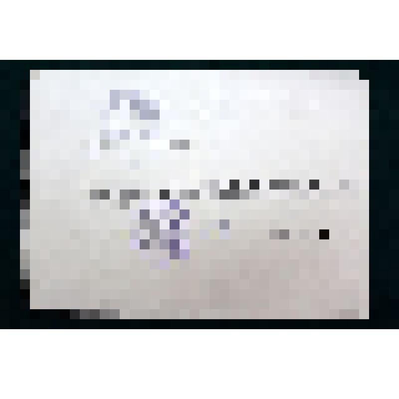 Справка из Государственного архива Зимовнову А.А