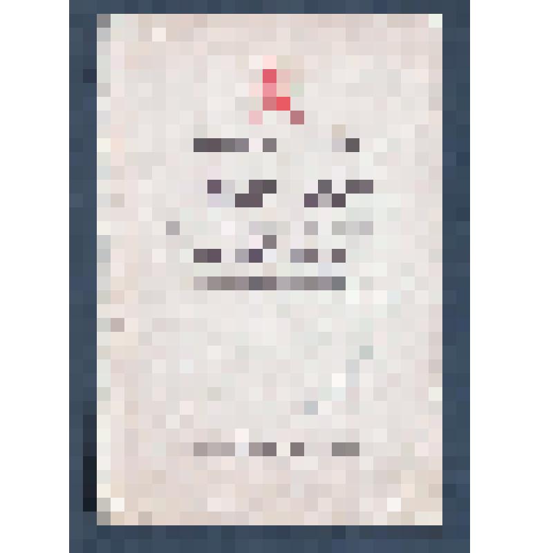 Брошюра "Наставление для офицерского состава Красной Армии. Индивидуальная гимнастика на каждый день"