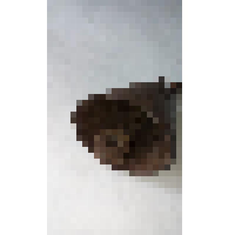 Колокольчик