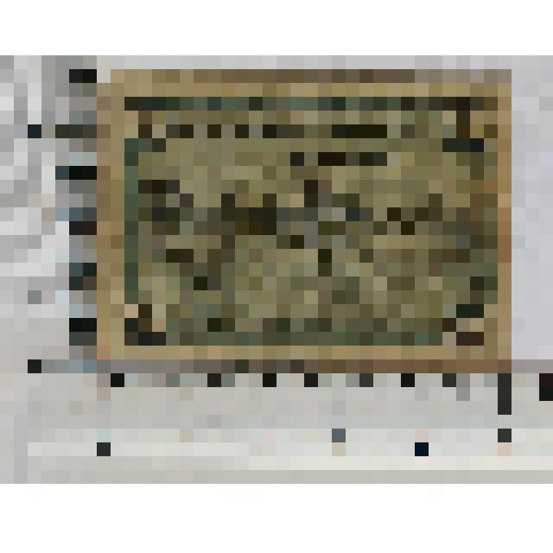 Германия, Танна (Tanna Reuss). Нотгельд. 50 пфеннигов. 1 января 1920 г