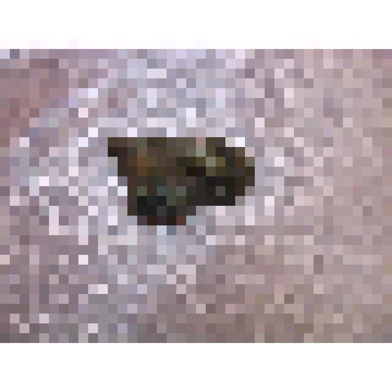 Железистая конкреция