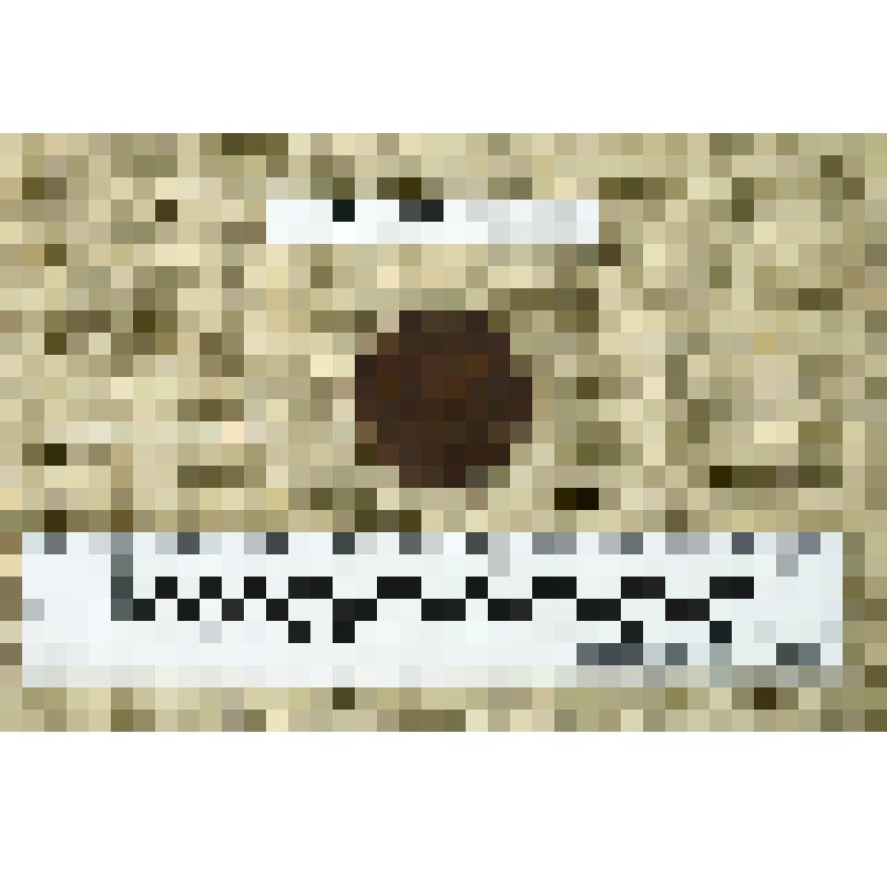 Монета "Пять копеек"