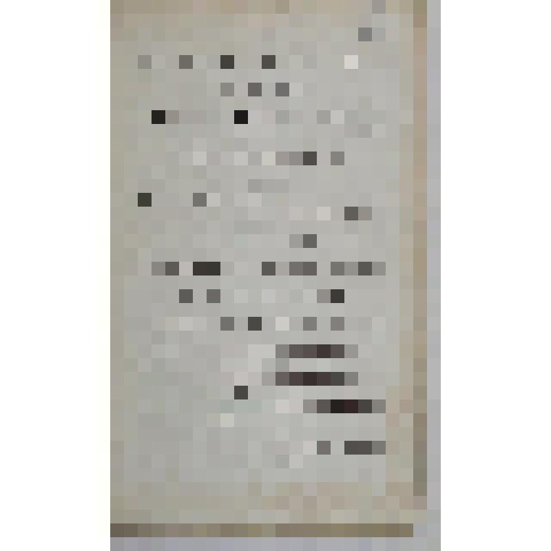 Sterne Laurence. Letters of the late Rev. Mr. Laurence Sterne, To his most intimate Friends. With a Fragment in the Manner of Rabelais. To which are prefixed, Memoirs of his Life and Family. Vol. III. /Written by himself, Are published by his Daughter, Mr