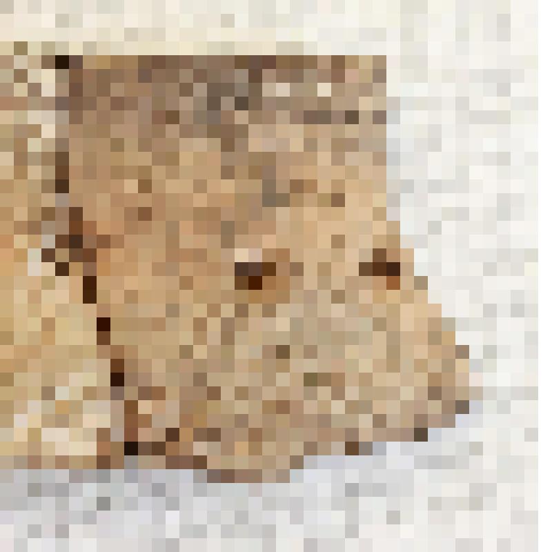 Фрагмент венчика сосуда