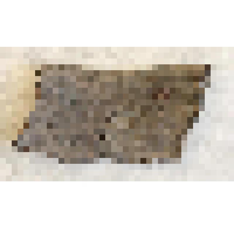 Фрагмент венчика сосуда