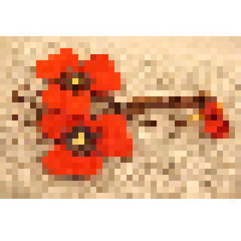 Украшение для верхней женской одежды, из коллекции документальных и вещевых материалов семьи Орловой Калерии Николаевны, бывшей заведующей лабораторией областного туберкулезного диспансера, пенсионерки