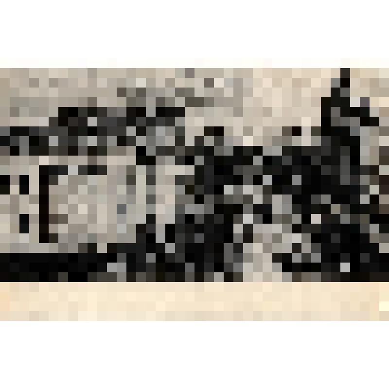 Открытка иллюстрированная фотографическая видовая  "Сталинград. Коммунистическая улица" //Коллекция черно-белых открыток с видами г. Сталинграда из 29 открыток