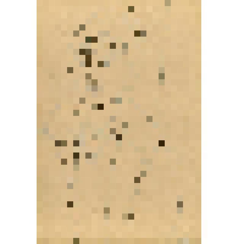 Графическая работа "Портрет девочки в шапке"