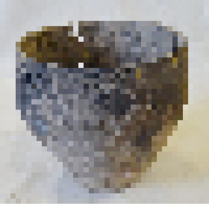 Сосуд