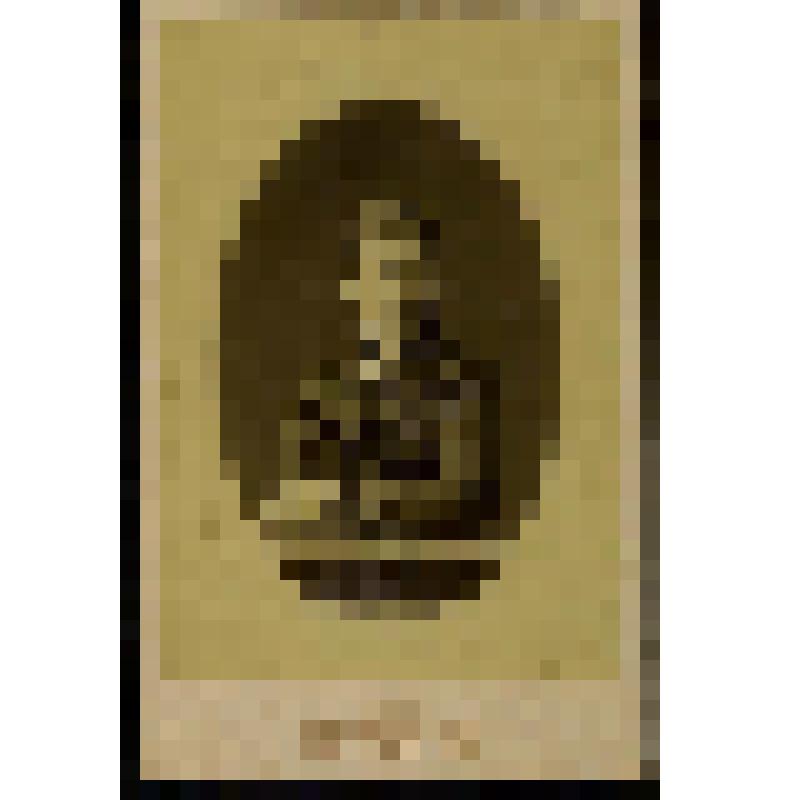 Фотография. Портрет Бахрушиной Елены Михайловны, матери А.А. Бахрушина