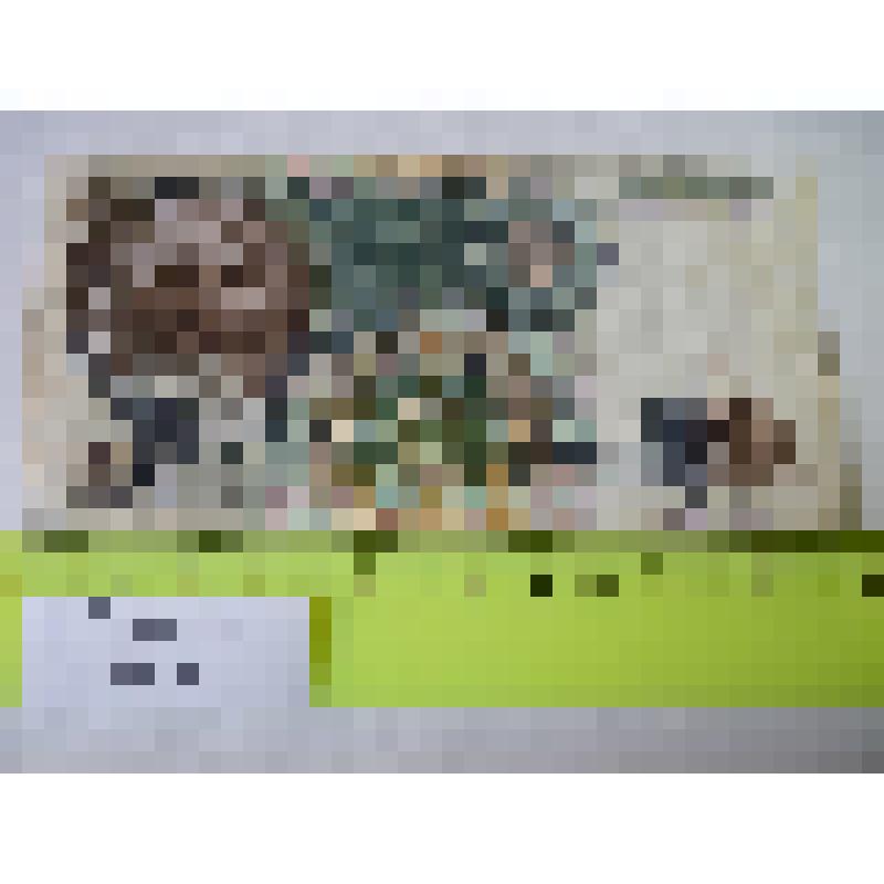 Билет Государственного Банка СССР. "Тысяча рублей" АЕ 7728692, 1991 г