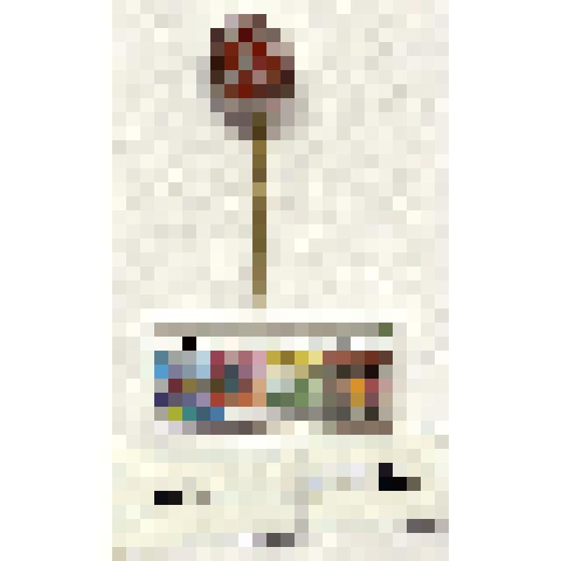 СССР. Фирменный значок Львовского автобусного завода (фон красный)