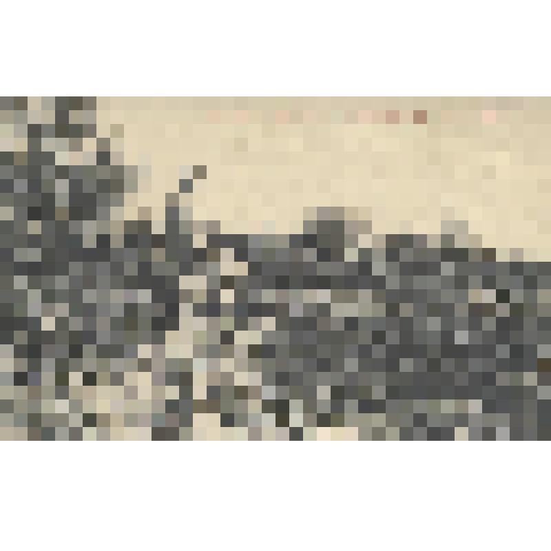 Ессентуки. Источник №4. Мужичок в парке