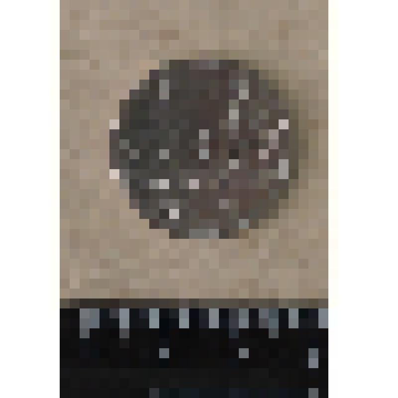 Монета памятная достоинством 5руб. Рига.15.10.1944г