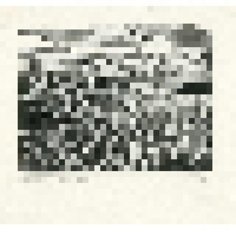Журавли улетают