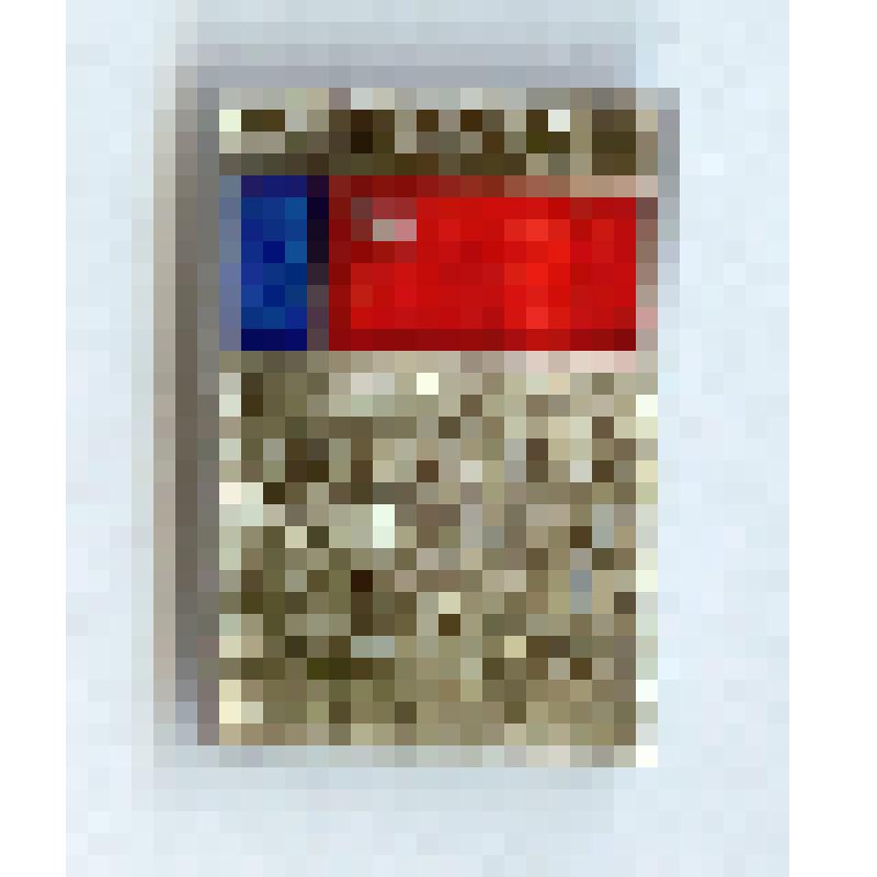 Значок нагрудный «РСФСР. Общество охраны памятников истории и культуры»