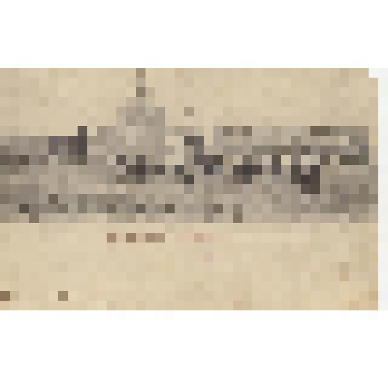 Открытое письмо. Торговая площадь в Царицыне на Волге