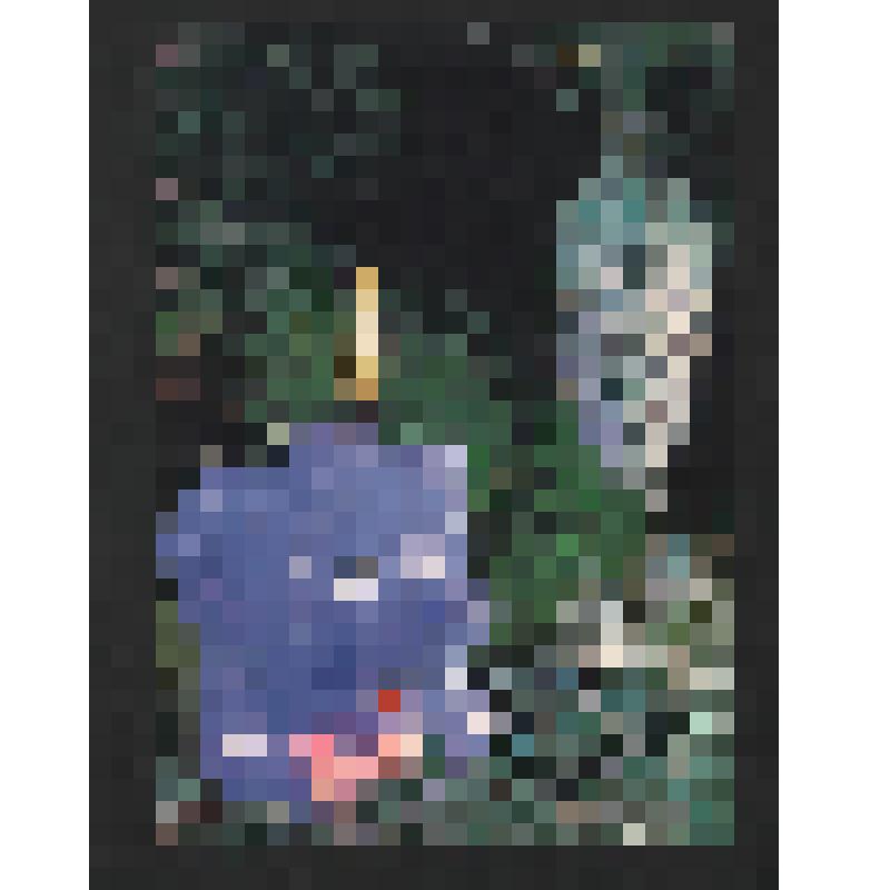 Поздравление Галины и Юлии [работников бюро Союза писателей УАССР?] Богомоловой З.А. с Новым 1991 годом